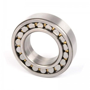 Cylindrical Roller Bearing